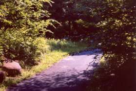 The trail follows the stream just crossed after turning slightly to the right.