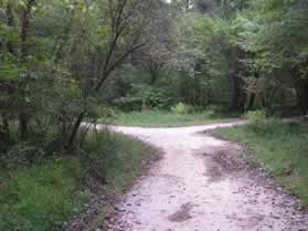 An asphalt trail intersects from the left.  Turn left to follow that trail.