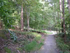 An asphalt trail intersects from the left.  Continue straight on the present trail.