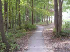 Turn left to follow the narrow asphalt trail along Newington Forest Avenue.