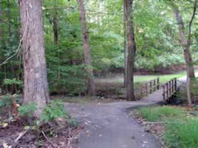 After crossing Loving Forest Ct. and going down a hill a trail intersects from the left prior to a stream.  Turn left onto this trail.