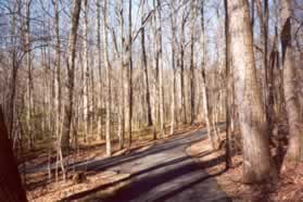 A trail intersects from the left.  Go straight on the current trail.