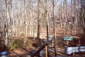 Proceed down the steps on the other side of Steeplechase Dr and continue on that trail.