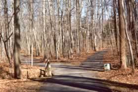 At the next trail intersection turn right.