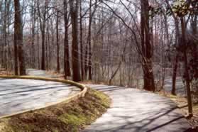 Shire Ct ends in a circle.   The sidewalk becomes an asphalt path into the woods.