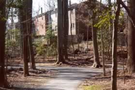 The trail continues to the left at the next trail intersection.