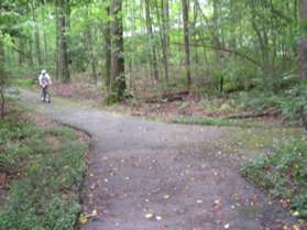 After a very short distance another asphalt trail intersects from the right.  Continue straight on the present path.