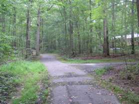 After going down a hill and crossing a stream an asphalt trail intersects from the right.  Continue straight on the present path.