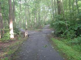 At the next fork in the trail take the asphalt path to the right.