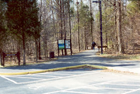 The trail starts from the end of the parking lot.