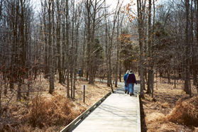 The boardwalk ends here.  Continue on the connecting gravel trail.