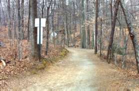 The asphalt trail becomes a natural surface trail at the top of the hill and follows the shore of the lake to the right.