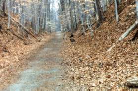 The cut through the hill was made for the original railroad bed.