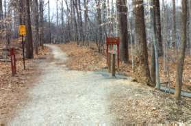 Turn right at the next asphalt trail intersection.