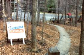 The asphalt trail goes down a steep grade to Danbury Forest Dr.