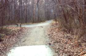 The intersecting path to the left connects to Ellet Rd. Stay straight on the current trail.