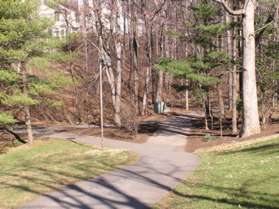 At the bottom of the hill turn right to follow the asphalt trail through the woods.