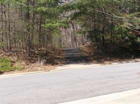 The trail crosses Lake Newport Rd.