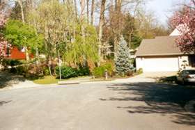 Take the sidewalk to the other end of S Shore Rd.  Take the asphalt path there.