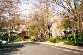 Follow the sidewalk to the end of the street.  Take the asphalt path there to the right.