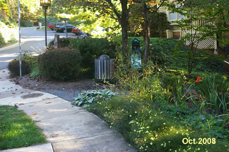 At the end of Owls Cove La. turn right to follow an asphalt trail down some steps.