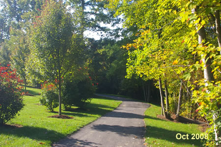 The trail turns right to follow the lake shore.