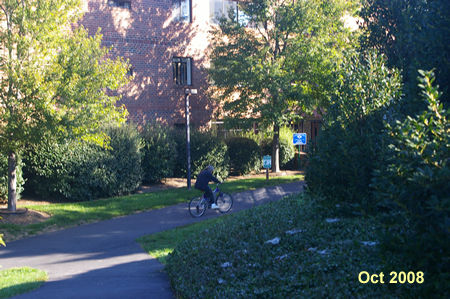 The trail turns to the right and intersects with another trail. Turn left to follow that trail down a slight hill.