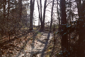 The trail goes to the right and follows the fence.