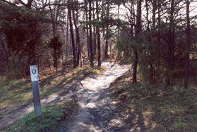 The athletic field comes to an end on the left. The trail goes into the wooded area.