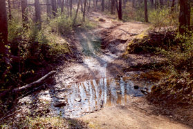 A short distance later another wider creek is crossed.