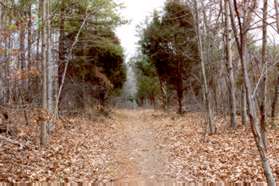 The trail intersects with a trail from the right. Turn left to follow that trail.