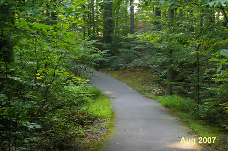 After crossing the bridge turn left onto the intersecting asphalt trail to continue following South Run.