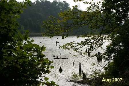 You can get your first views of Lake Mercer on the left from this section of trail.