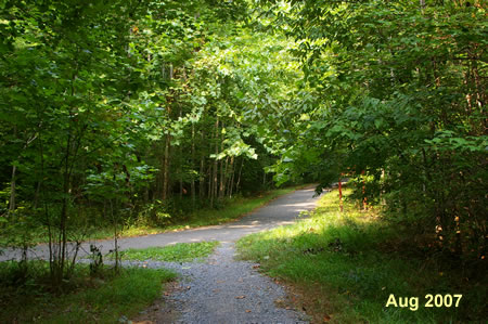 At the intersection with the asphalt trail go straight if you started at the South Run RECenter. If you started from Hooes Rd. turn left to cross the bridge on the asphalt trail. After crossing the bridge turn left and go to step 5.