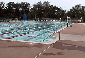 Swimmers were doing laps in the pool at the time when we passed it.