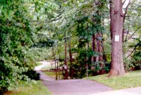 The trail crosses Lakebreeze Way.  The sign on the tree is from the National Wildlife Federation.