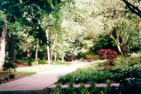 The trail passes the end of Dockside Circle.