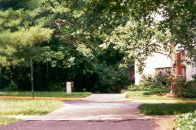 The trail crosses Swans Neck Way.