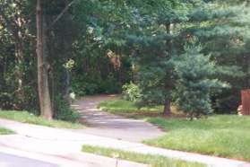 The trail crosses Pond Drive and curves slightly to the left.