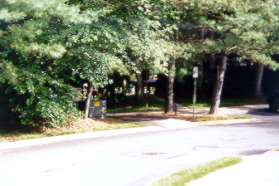 The trail crosses Lakewinds Dr.  The trail on the other side is to the right under the trees.