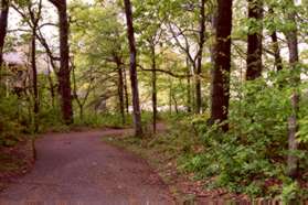 The path crosses the second appearance of Wainright Dr.  Continue straight on the path.