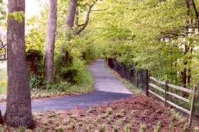 Follow the trail along the side of Bluemont Dr.