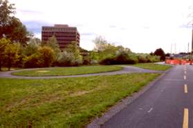 Turn left at this circular asphalt path next to the W&OD trail.