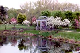 A dirt path connects to the grounds of Fannie Mae. Turn right onto the walkway around the pond.