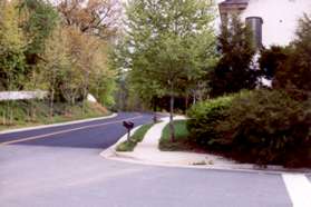 Turn right to follow the sidewalk along old Reston Ave.