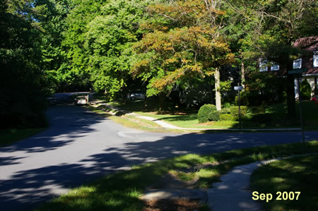 Continue on the sidewalk on the other side of Bramblebush Ct.