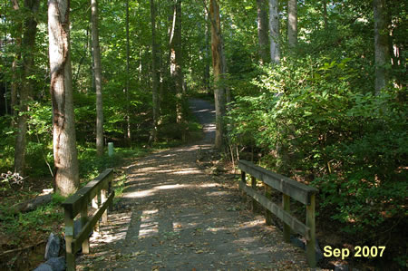 After crossing the rec area the trail goes up a hill.