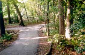 The trail turns sharply to the right.  Do not take the trail to the left after this point.