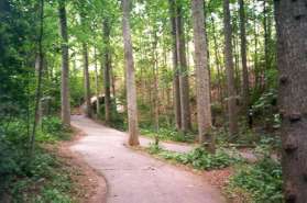 Go straight towards tunnel at next trail intersection.