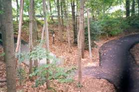 Take the trail to the left through the tunnel under South Lakes Dr.